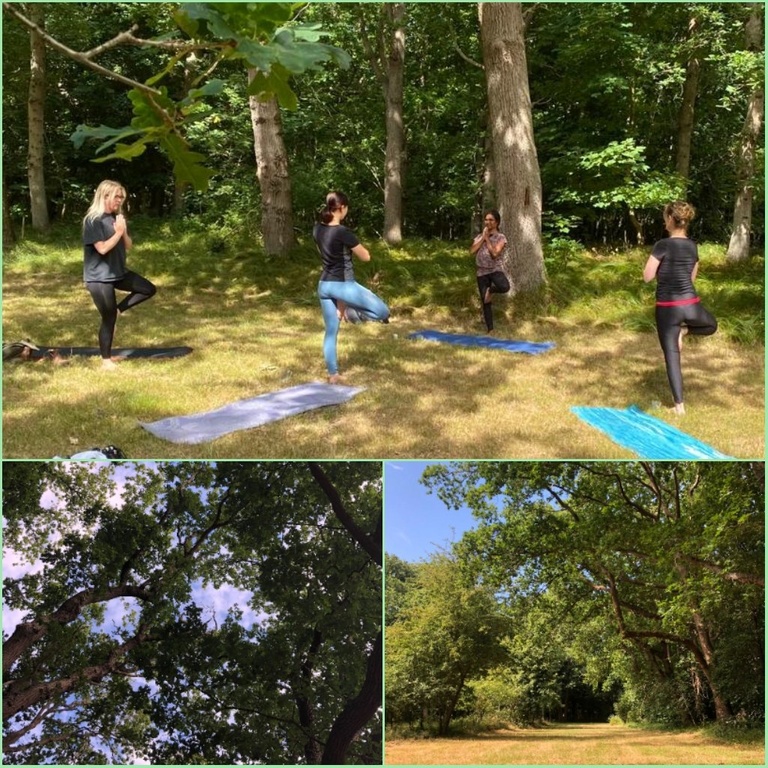 yoga bos.jpg yoga bos.jpg