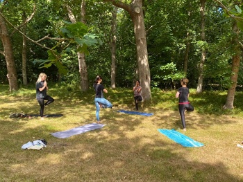 Yogales in het Panbos Katwijk